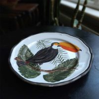 Hand Painted Animal Plates - TOUCAN